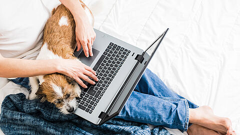 Vrouw met laptop en hond op schoot