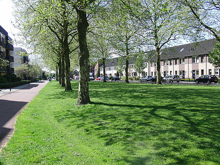 Parkje met straat in Gelderse Blom